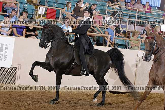 Proof 11yn_05071