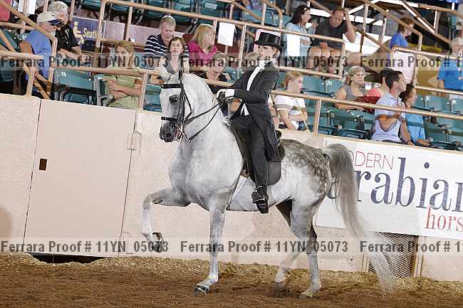 Proof 11yn_05073