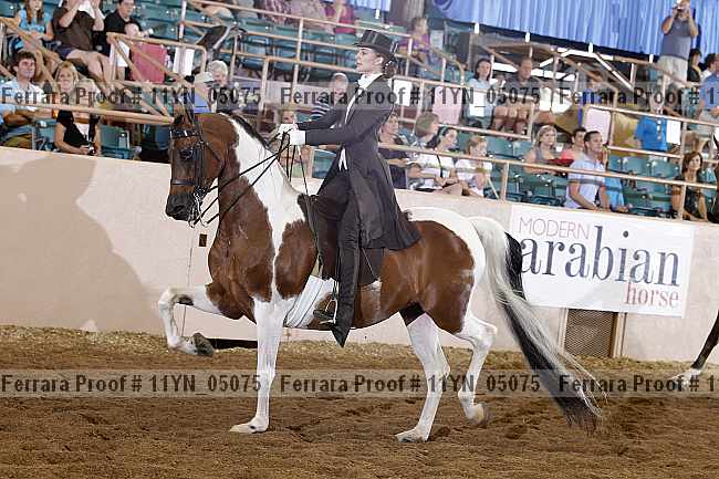 Proof 11yn_05075