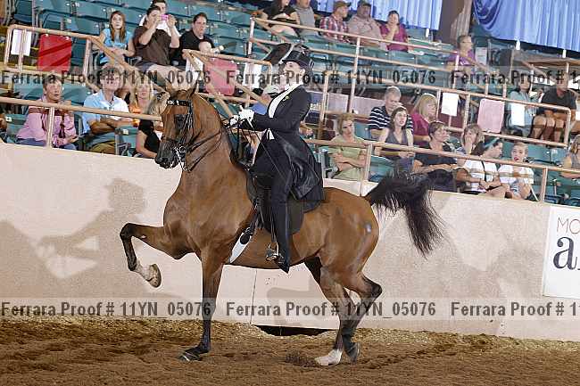 Proof 11yn_05076