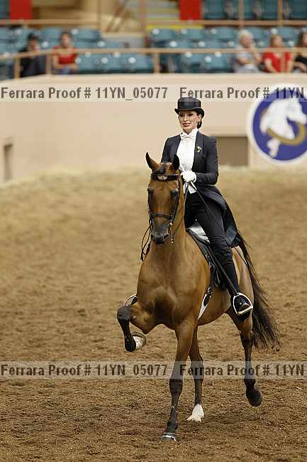 Proof 11yn_05077