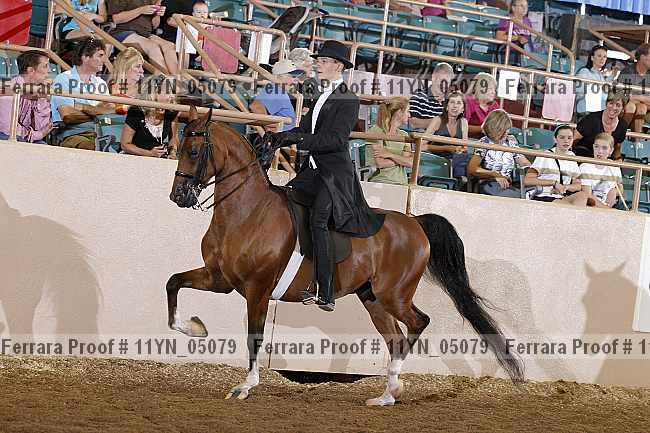 Proof 11yn_05079