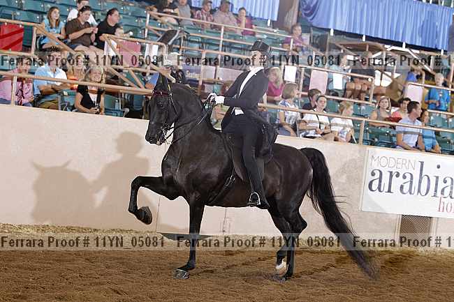 Proof 11yn_05081