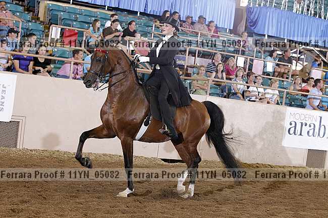 Proof 11yn_05082