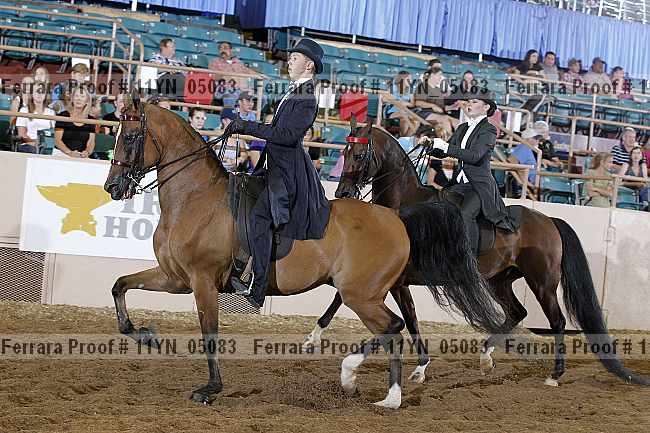 Proof 11yn_05083