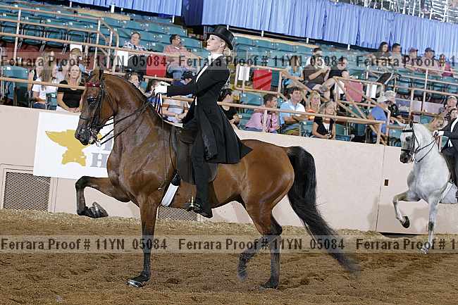 Proof 11yn_05084