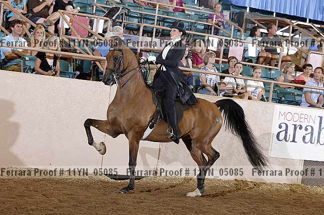 Proof 11yn_05085