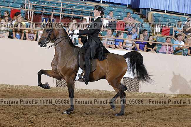 Proof 11yn_05086