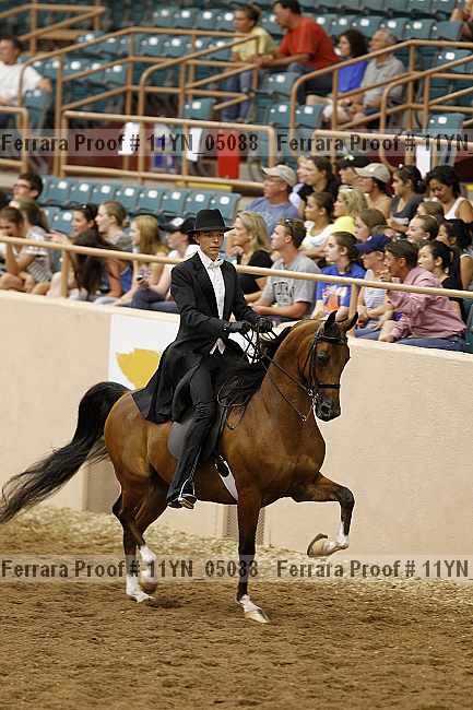 Proof 11yn_05088