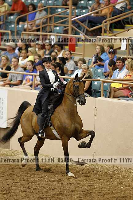 Proof 11yn_05090