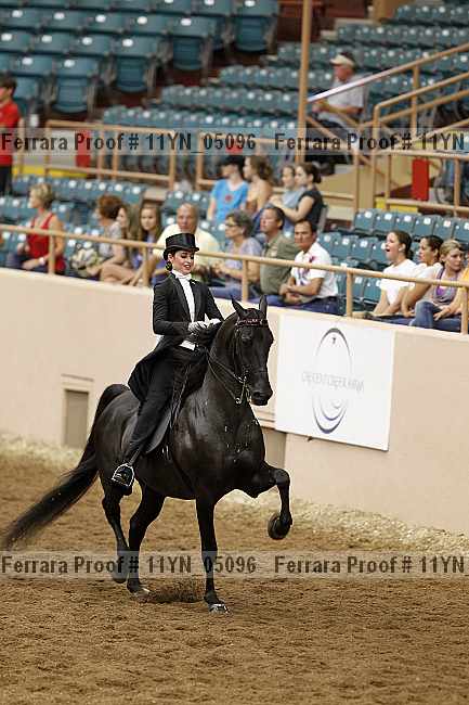 Proof 11yn_05096