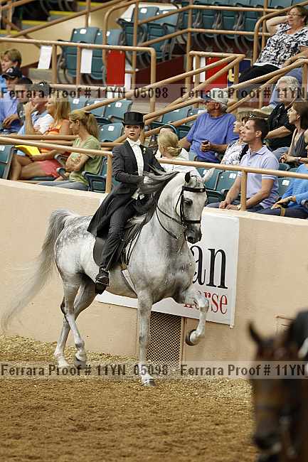 Proof 11yn_05098
