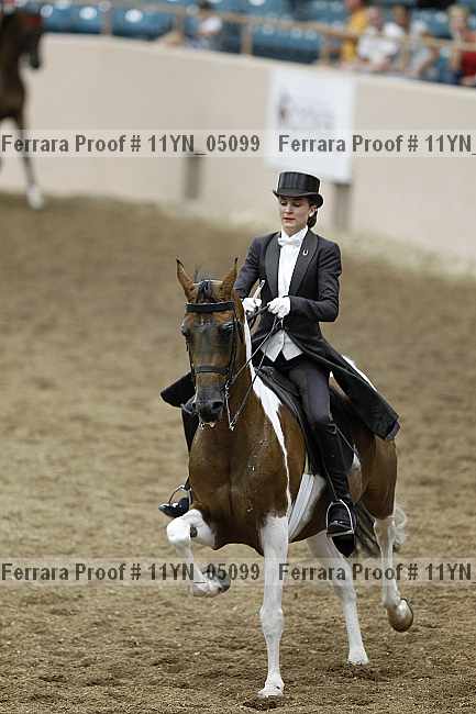 Proof 11yn_05099