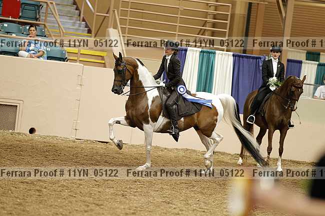 Proof 11yn_05122