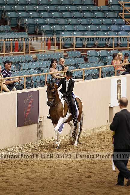 Proof 11yn_05123