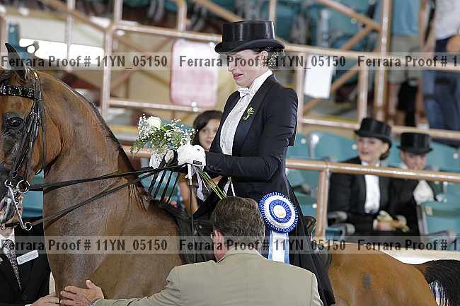 Proof 11yn_05150