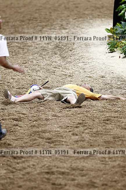 Proof 11yn_05191