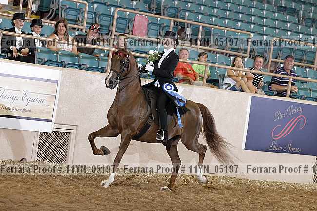 Proof 11yn_05197