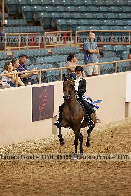 Proof 11yn_05199
