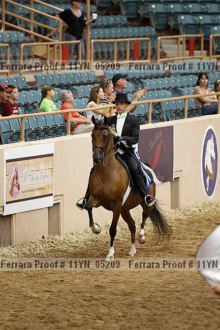 Proof 11yn_05209