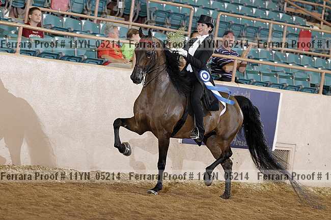 Proof 11yn_05214