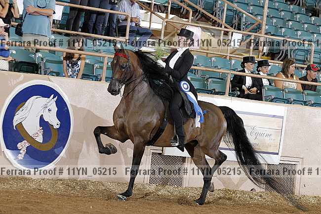 Proof 11yn_05215