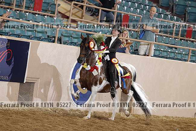 Proof 11yn_05227