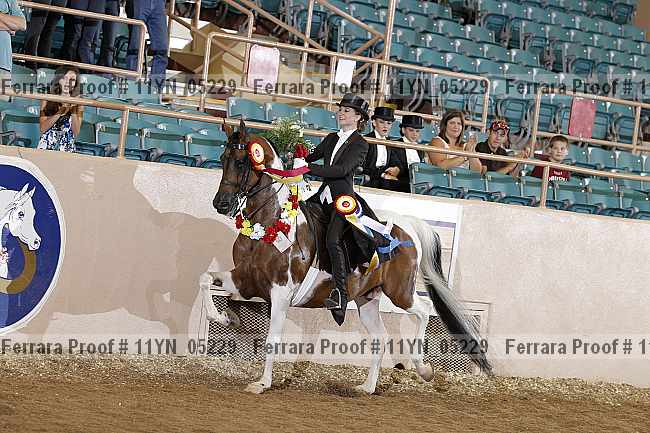 Proof 11yn_05229