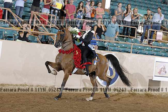 Proof 11yn_05243