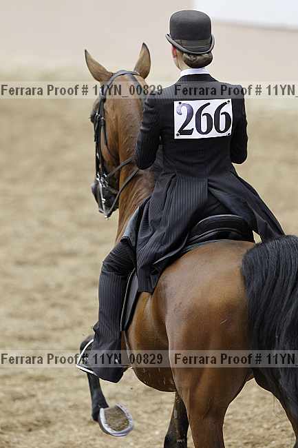 Proof 11yn_00829