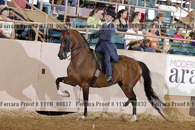 Proof 11yn_00837