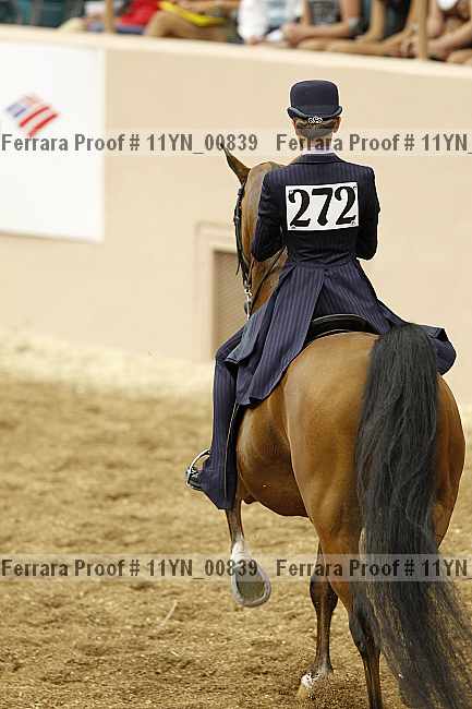 Proof 11yn_00839