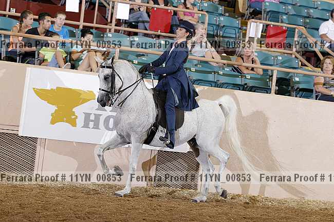 Proof 11yn_00853