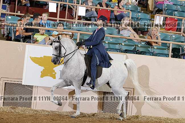 Proof 11yn_00864