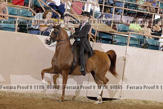 Proof 11yn_00865