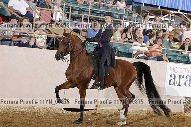 Proof 11yn_00875