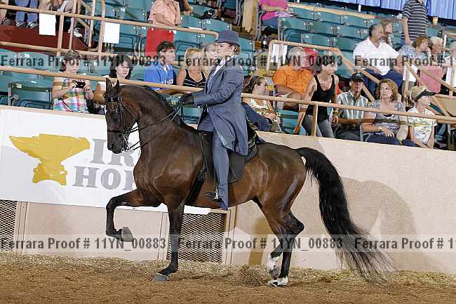 Proof 11yn_00883
