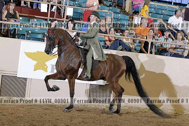 Proof 11yn_00901