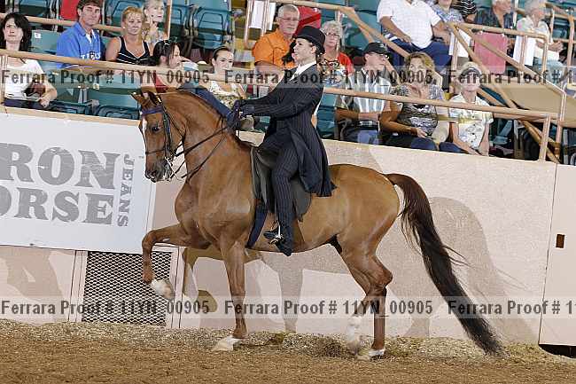 Proof 11yn_00905
