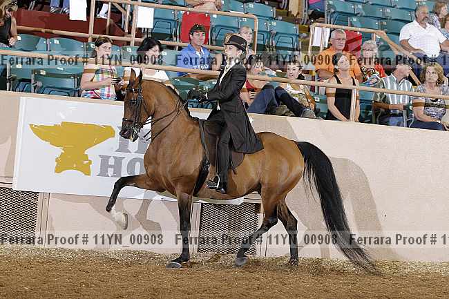 Proof 11yn_00908