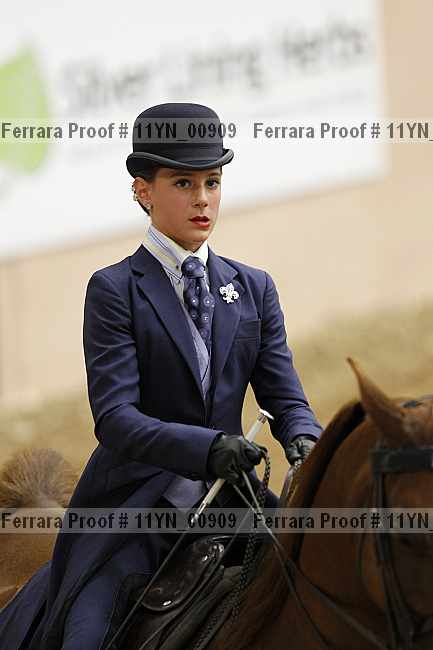 Proof 11yn_00909