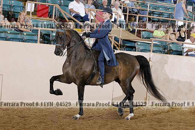 Proof 11yn_04529