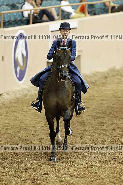 Proof 11yn_04533