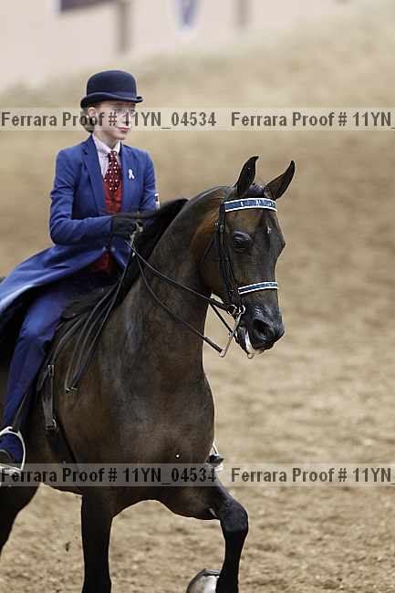 Proof 11yn_04534