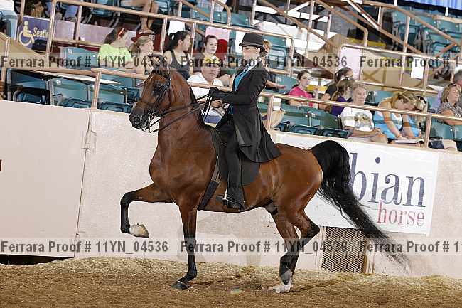 Proof 11yn_04536