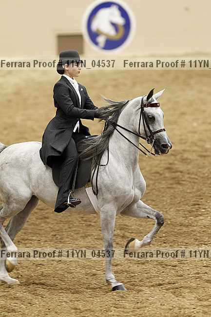 Proof 11yn_04537
