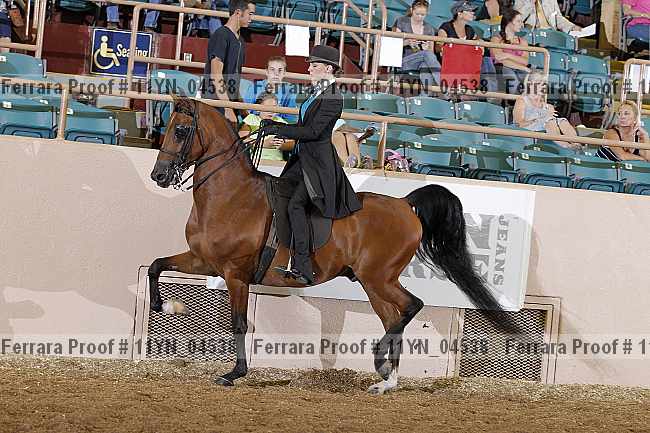 Proof 11yn_04538