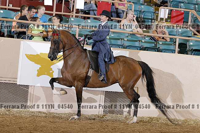 Proof 11yn_04540