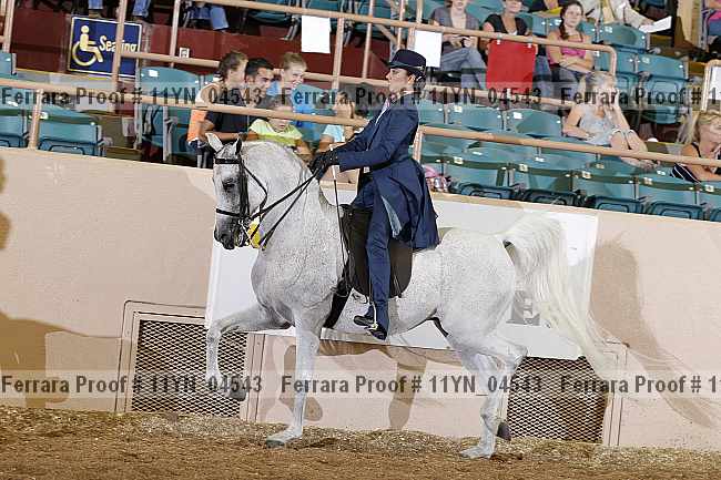 Proof 11yn_04543