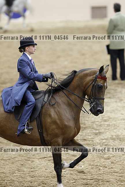 Proof 11yn_04546